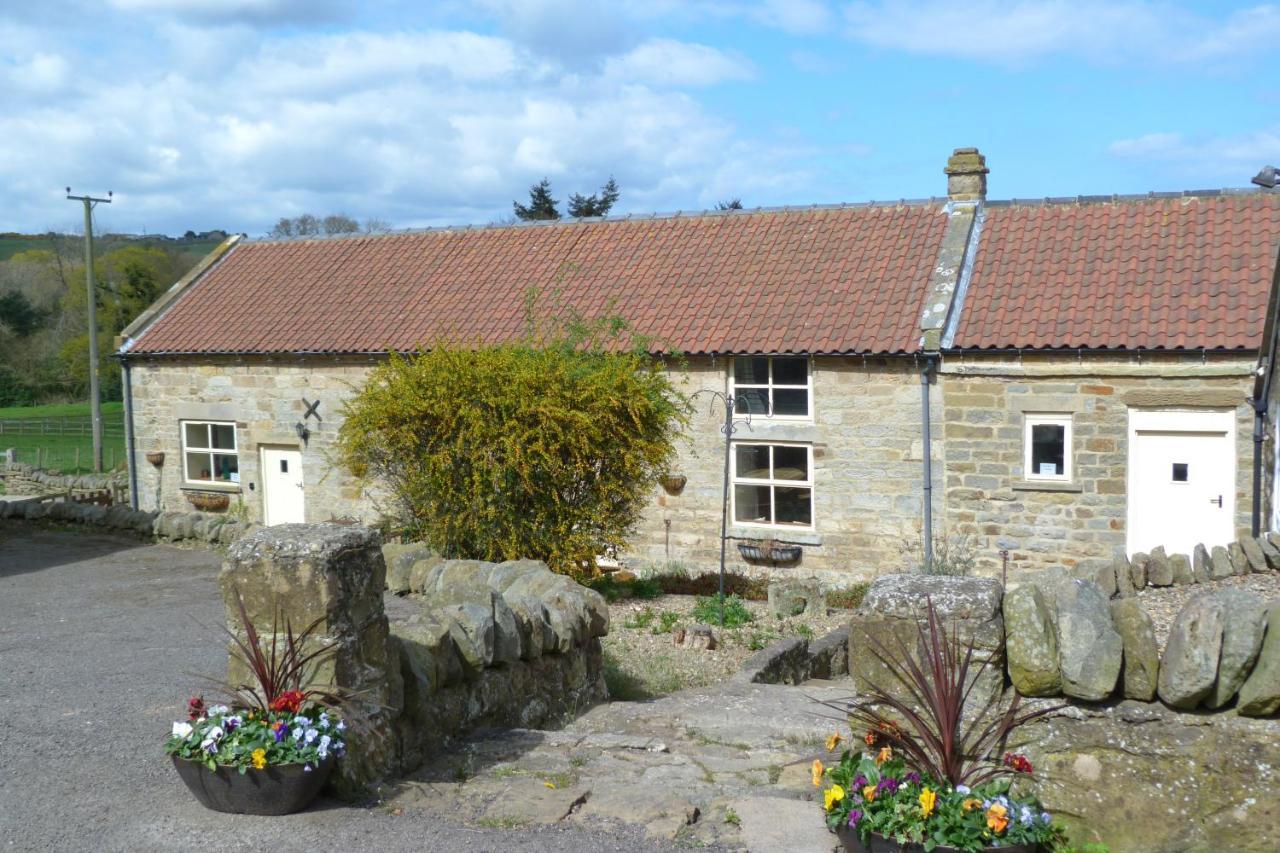 Ferienwohnung HayburnbeckFarm Scarborough Exterior foto